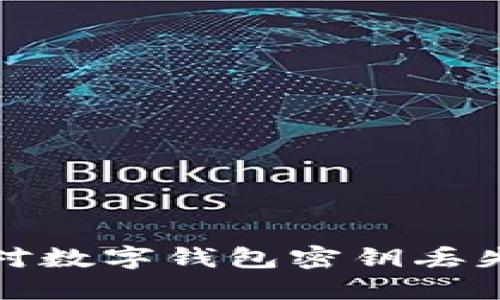 如何应对数字钱包密钥丢失的危机