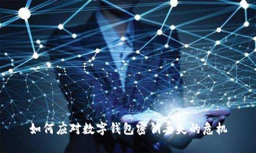 如何应对数字钱包密钥丢失的危机