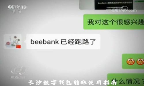 
长沙数字钱包转账使用指南