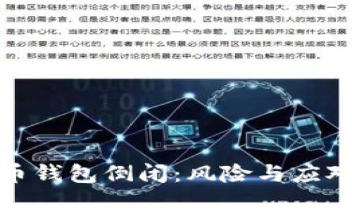 数字币钱包倒闭：风险与应对策略