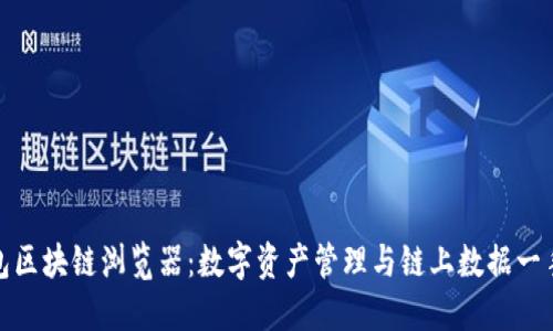 TP钱包区块链浏览器：数字资产管理与链上数据一手掌握
