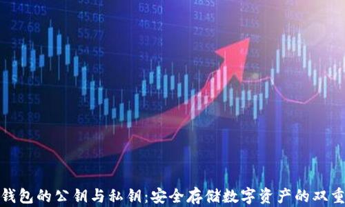 
数字钱包的公钥与私钥：安全存储数字资产的双重钥匙