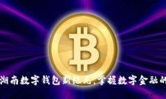 开创湖南数字钱包新纪元，掌握数字金融的未来
