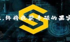 如何在TP钱包中购买新发行