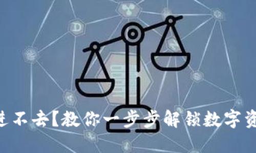 区块链钱包进不去？教你一步步解锁数字资产的“宝藏”！