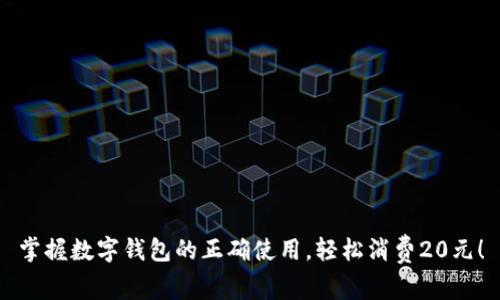 掌握数字钱包的正确使用，轻松消费20元！