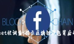 TokenPocket被调查：揭示区块链钱包背后的隐秘真相