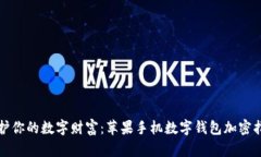 保护你的数字财富：苹果手机数字钱包加密指南