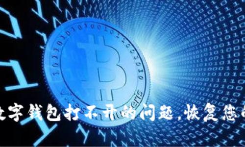 如何解决数字钱包打不开的问题，恢复您的安全资金