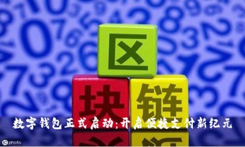 数字钱包正式启动：开启便捷支付新纪元