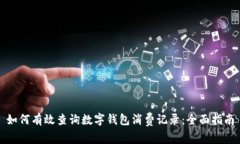 如何有效查询数字钱包消费记录：全面指南