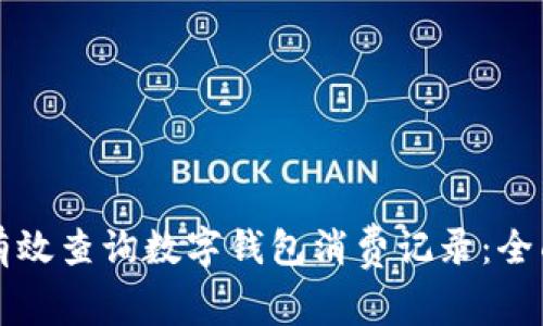 如何有效查询数字钱包消费记录：全面指南