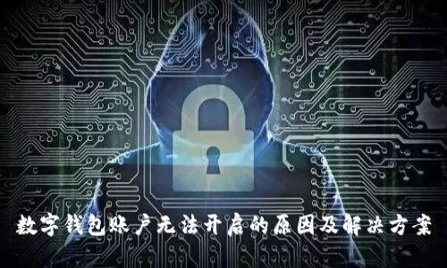 数字钱包账户无法开启的原因及解决方案
