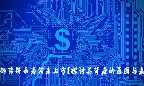 TP钱包中的薄饼币为何未上市？探讨其背后的原因与未来可能性