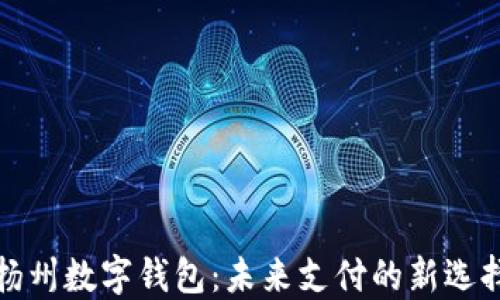 
扬州数字钱包：未来支付的新选择