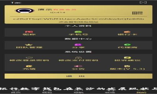 探索邮政银行数字钱包在长沙的发展现状与未来前景