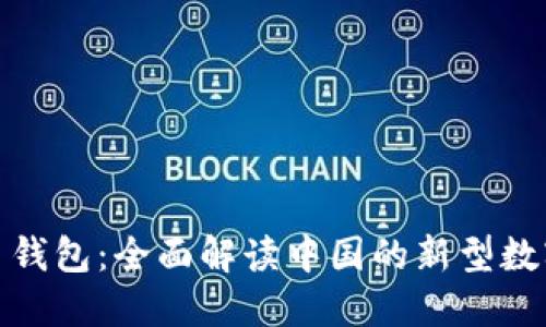 数字人民币钱包：全面解读中国的新型数字货币钱包