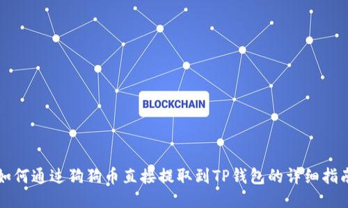 如何通过狗狗币直接提取到TP钱包的详细指南