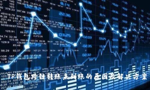  TP钱包跨链转账未到账的原因及解决方案