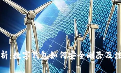 全面解析：数字钱包如何安全删除及注意事项