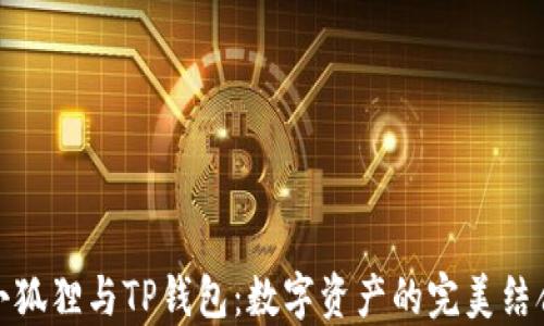 
小狐狸与TP钱包：数字资产的完美结合